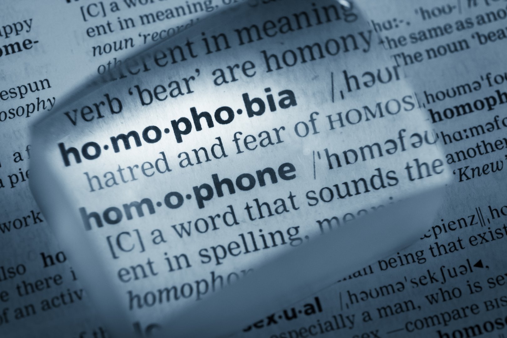 Homosexuality between phobia and terror