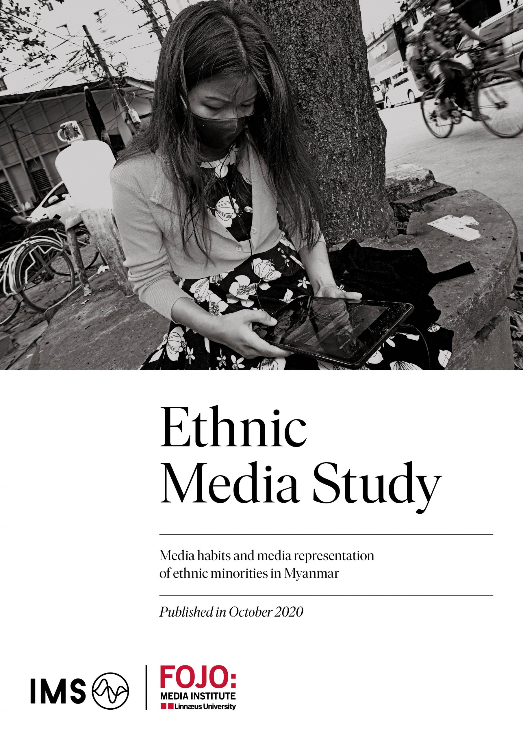 Ethnic media study