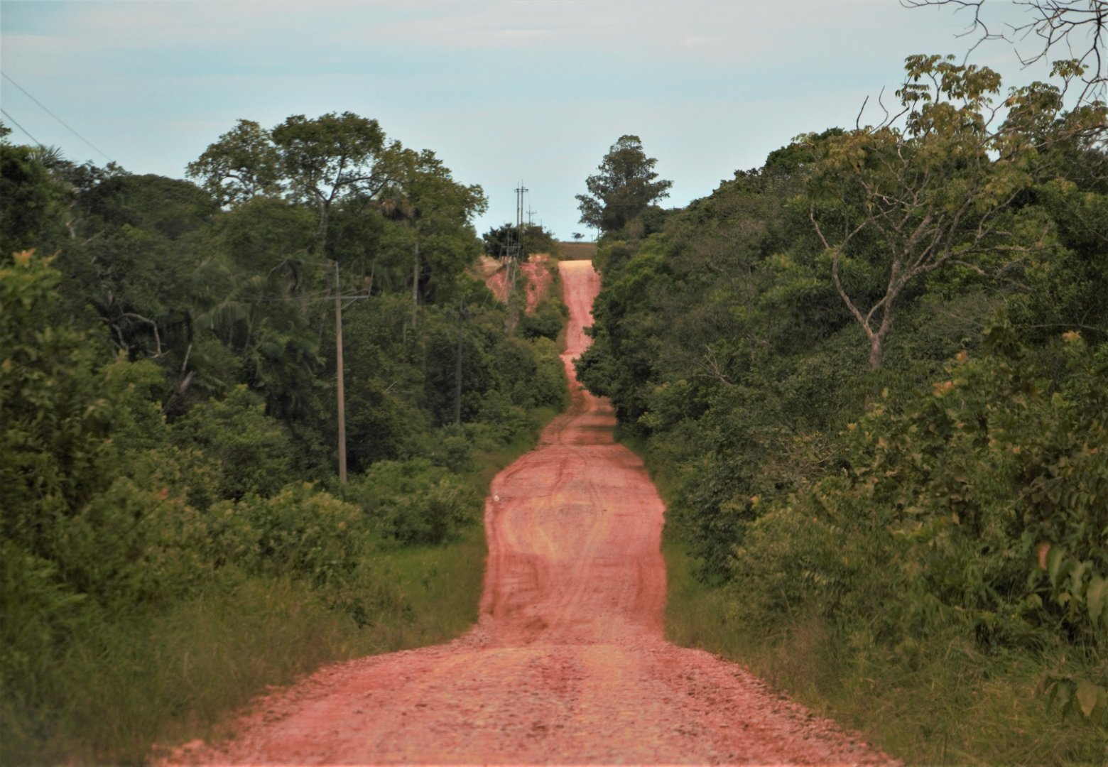 The road leading to to Piñalito. (Photo by Carolina Tejada)