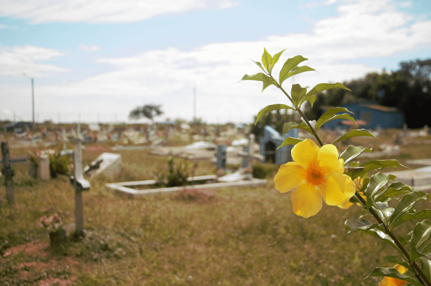 Vistahermosa cemetery. (Photo by Carolina Tejada)