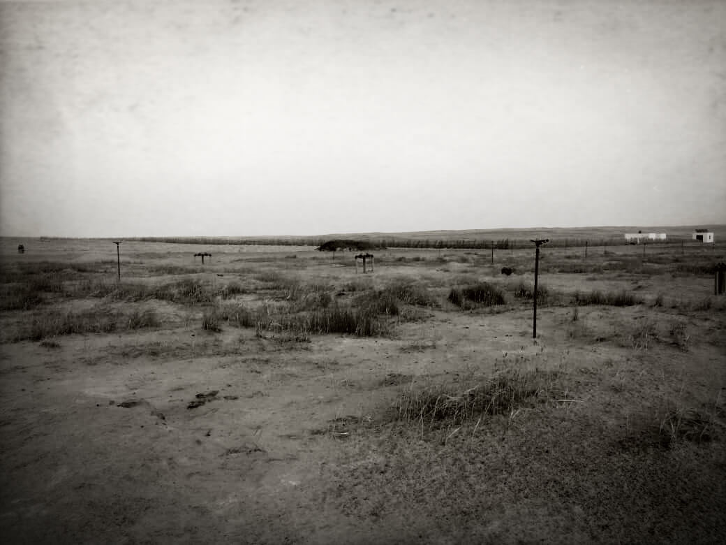 Image of gray, dry land like the plots sold by the Egyptian Countryside Development Company