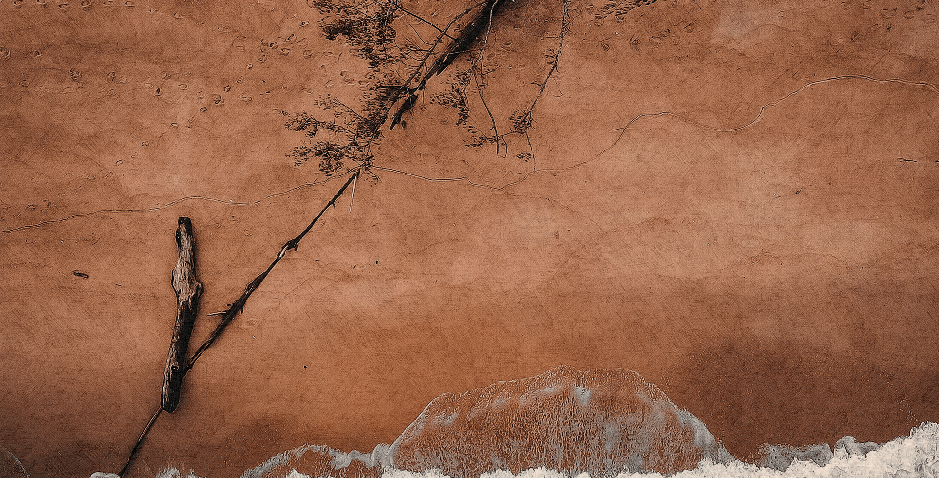 dried land caused by the water crisis on the wadi shbooka river in Morocco